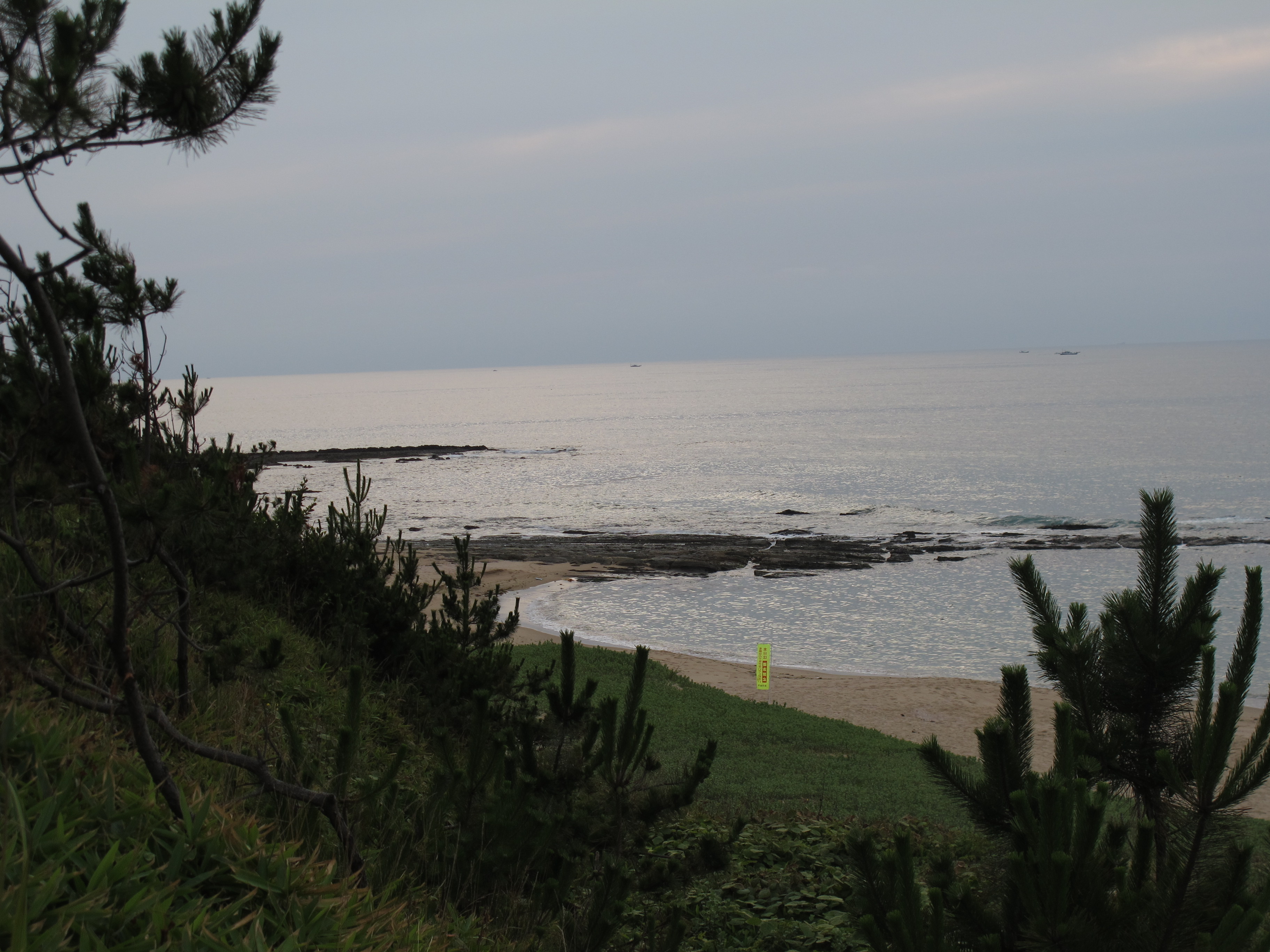 琴引浜まで徒歩３分 7月４日海開きでした 丸ちゃんの琴引浜日記