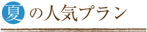 夏の人気プラン