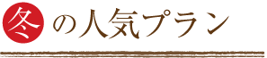 冬の人気プラン