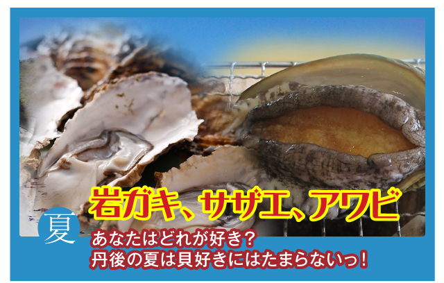 夏 岩ガキ、サザエ、アワビ あなたはどれが好き？丹後の夏は貝好きにはたまらないっ！